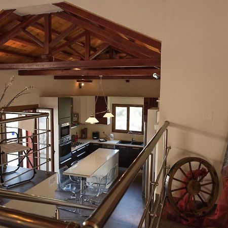 Gallis Villa Pefkias Extérieur photo